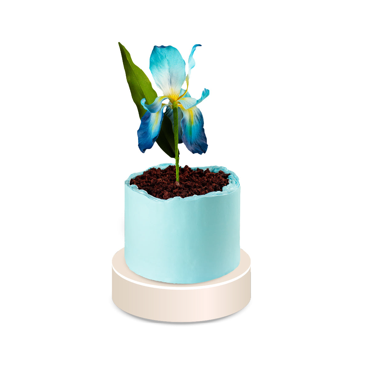 ტორტი შაქრის პასტის ყვავილით