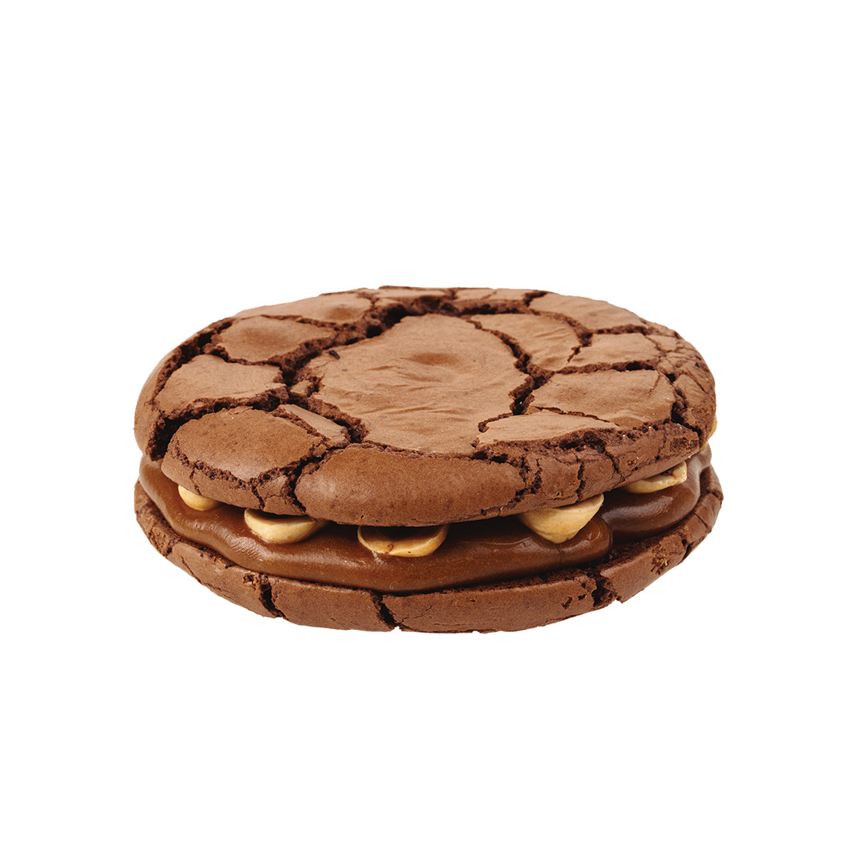 შოკოლადის ორცხობილა კარამელით და თხილით