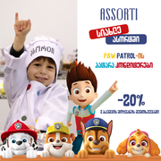 ასორტის სკოლა - Paw Patrol-ის მასტერკლასი